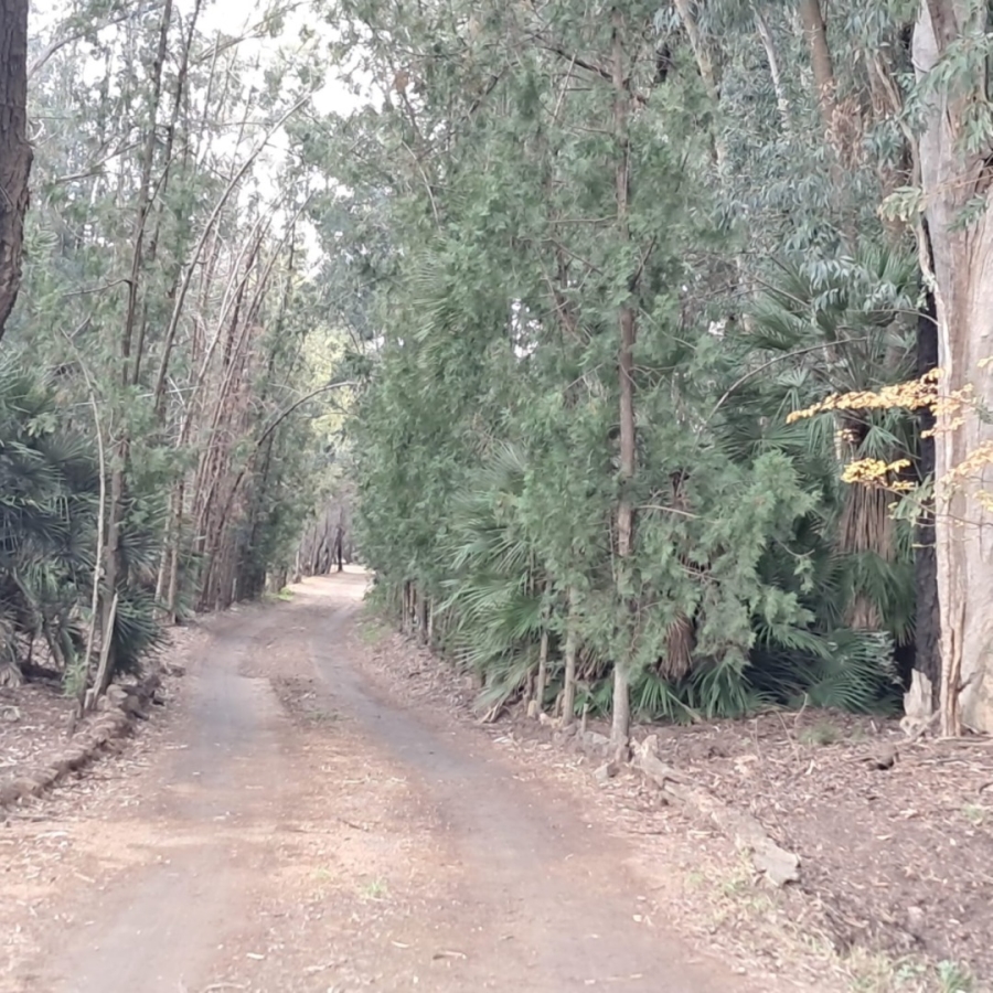 Commercial Property for Sale in Rayton Free State